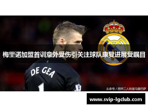 梅里诺加盟首训意外受伤引关注球队康复进展受瞩目